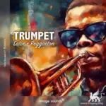 Trumpet: Latin + Reggaeton WAV
