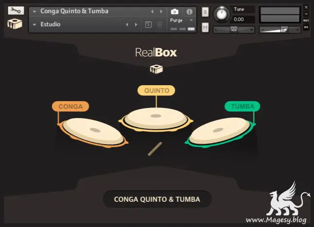 Conga Quinto And Tumba v1.0 KONTAKT-FANTASTiC-MaGeSY