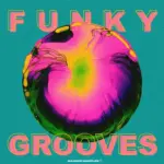 Funky Grooves WAV MiDi REX-FANTASTiC