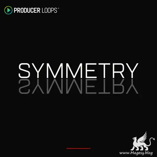 Symmetry MULTiFORMAT-MaGeSY