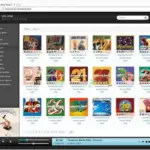 Helium Streamer Premium v7.0.0.1532 WiN-DVT