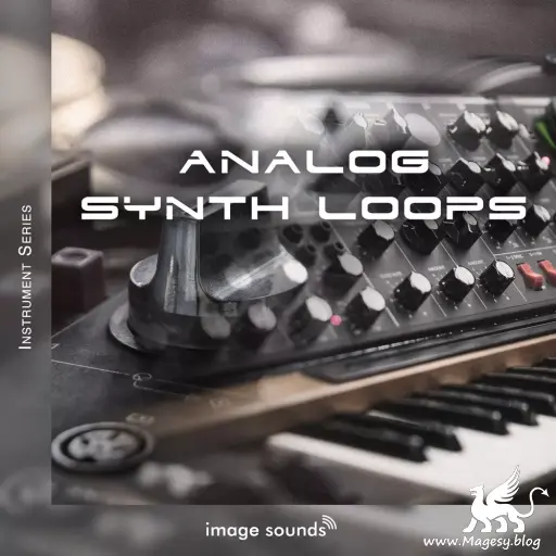Analog Synth Loops WAV-MaGeSY