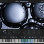 Leap RnB Licks v1.0.0 KONTAKT 8-HiDERA