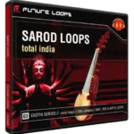 Sarod Loops Total India ACiD WAV AiFF REX2-MAGNETRiXX