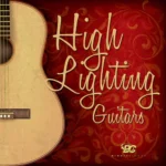 High Lighting Guitars WAV-FANTASTiC
