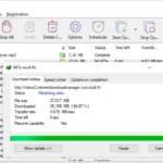 Internet Download Manager v6.42 Build 26 WiN-OneClick