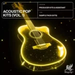 Acoustic Pop Kits Vol.1 P2P | 24 February 2024 | 651.58 MB...