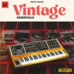 Vintage Deluxe MULTiFORMAT-FANTASTiC