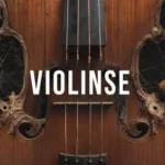 Violinse For PADSHOP 2