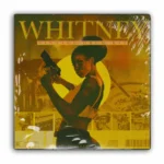 WHITNEY Boom Bap Drum Kit WAV-TECHNiA