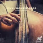 Vinyl Double Bass KONTAKT P2P | 22 March 2025 | 32.49 MB...