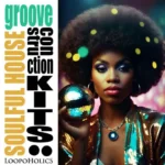 Soulful House Groove: Construction Kits WAV-FANTASTiC