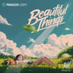 Beautiful Things MULTiFORMAT
