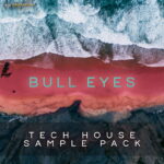 Bull Eyes: Tech House FANTASTiC | 16 July 2025 | 101.98 MB...