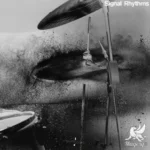 Signal Rhythms🥁 FANTASTiC | 31 July 2025 | 200 MB Download An...