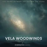 Vela Woodwinds KONTAKT Team ViP | 31 August 2025 | 3.93 GB...