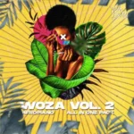 Woza Vol.2 WAV MiDi FANTASTiC | 22 August 2025 | 367.53 MB...