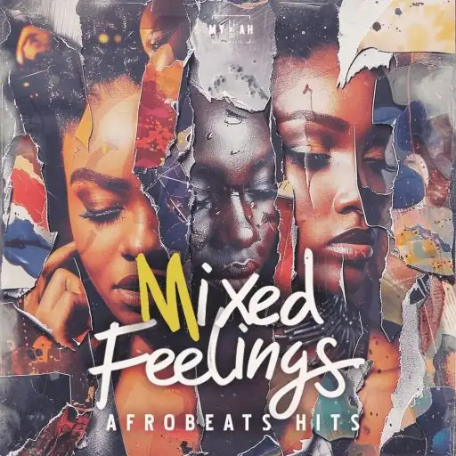 Mixed Feelings Afrobeats Hits WAV-FANTASTiC-MaGeSY