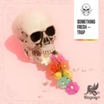 Something Fresh Trap FANTASTiC | 06 September 2025 | 131.92 MB The...