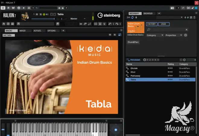Indian Drum Basics VSTSOUND-R2R-MaGeSY Indian Drum Basics VSTSOUND-R2R-MaGeSY