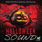 R.R Halloween Sound Effects Team DjYOPMiX | 01 November 2025 | 652MB...