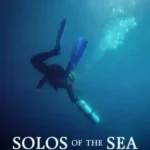 Solo Violin B KONTAKT P2P | 22 November 2025 | 491 MB...