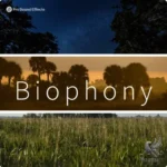 Biophony: Ambient Environmental Sounds Effects WAV-FANTASTiC Biophony Pro Sound Effects FANTASTiC | 11 January 2026 | 9.57 GB...
