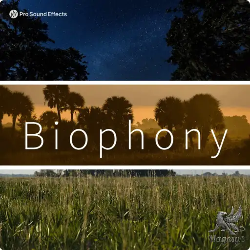 Biophony Ambient Environmental Sounds Effects WAV-FANTASTiC-MaGeSY