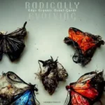 Radically Evolving P2P | 12 January 2026 | 1.23 GB “Radically Evolving”...