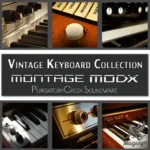 Vintage Keyboard Collection Team ARCADiA | 14 January 2026 | 229.24 MB...