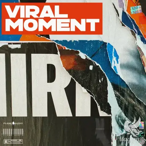 Viral Moment Pop Trap Beats WAV MiDi-FANTASTiC-MaGeSY