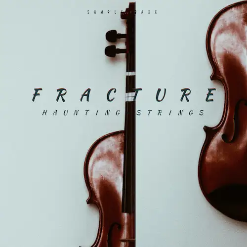 fracture-MaGeSY fracture-MaGeSY