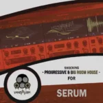 Progressive & Big Room House P2P | 09 February 2026 | 10.71MB...