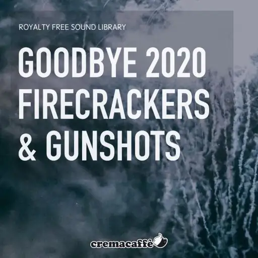 Goodbye 2020 Firecrackers And Gunshots WAV-FANTASTiC-MaGeSY Goodbye 2020 Firecrackers And Gunshots WAV-FANTASTiC-MaGeSY