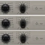 W295A Vintage eQ N·Ai NEBULA Team ARCADiA | 16 March 2026 |...