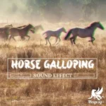 Horse Galloping SFX🐎 FANTASTiC | 16 April 2026 | 151 MB ..:...