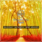Iglesias: Authentic Drum Grooves P2P | 17 May 2026 | 305.63 MB...