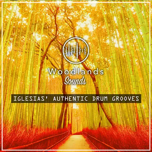 Iglesias Authentic Drum Grooves WAV-MaGeSY