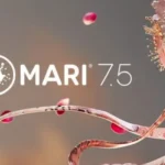 Mari v7.5 v2 WiN-R2R Mari v7.5 v2 WiN Team R2R | 08 May 2026 | 5.07...