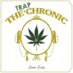 The Trap Chronic WAV MiDi AiFF-FANTASTiC The Trap Chronic FANTASTiC | 19 June 2026 | 177.80 MB 'The...