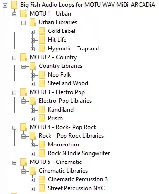 Big Fish Audio Loops For MOTU WAV MiDi Big Fish Audio Loops For MOTU WAV MiDi