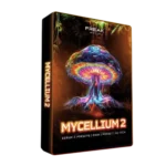 Mycellium Vol.2 For SERUM 2 P2P | 31 August 2026 | 174.64...