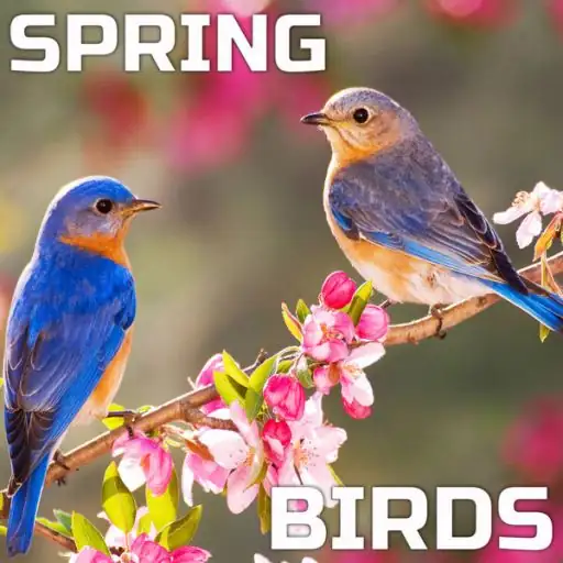 Spring Birds Sound Effects FLAC-FANTASTiC-MaGeSY Spring Birds Sound Effects FLAC-FANTASTiC-MaGeSY
