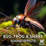 Bug Frog & Snake SFX FANTASTiC | 22 September 2026 | 646...
