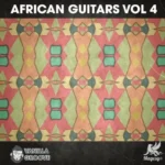 African Guitars Vol.4 FANTASTiC | 27 October 2026 | 38 MB 'African...