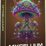 Mycellium Preset Pack Forest For SERUM 2-FANTASTiC Mycellium SERUM 2 FANTASTiC | 13 October 2026 | 91 MB Mycellium...