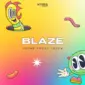 Blaze House Vocal Tools WAV MiDi-FANTASTiC-MaGeSY