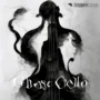 Ghost Cello v1.1 KONTAKT-MaGeSY