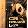 Core Percussion Loops WAV-ARCADiA-MaGeSY