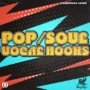 Pop And Soul Vocal Hooks WAV AiFF-FANTASTiC-MaGeSY